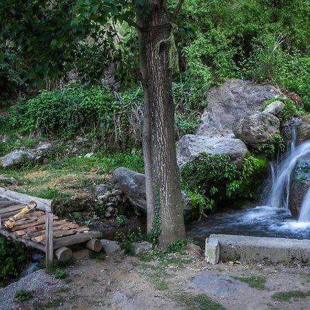 Babutaal Resort 차크라타 외부 사진