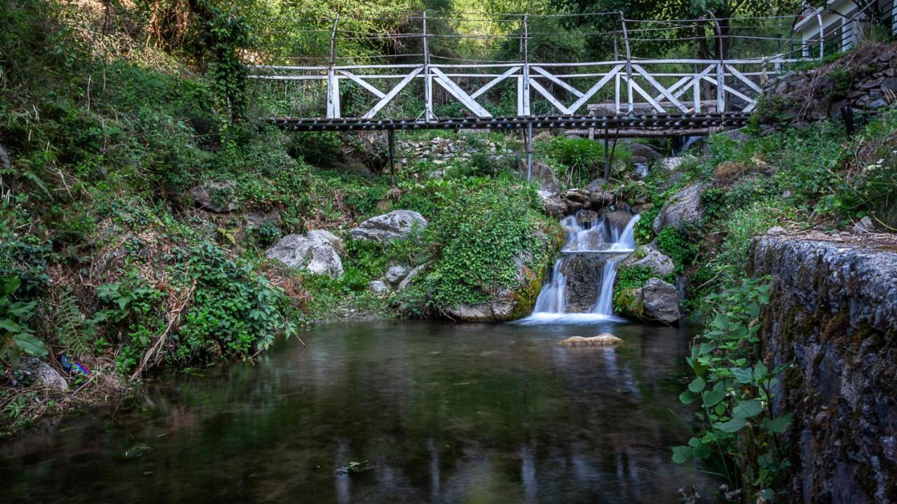 Babutaal Resort 차크라타 외부 사진