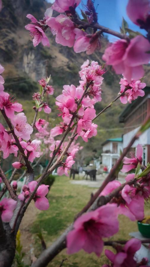 Babutaal Resort 차크라타 외부 사진